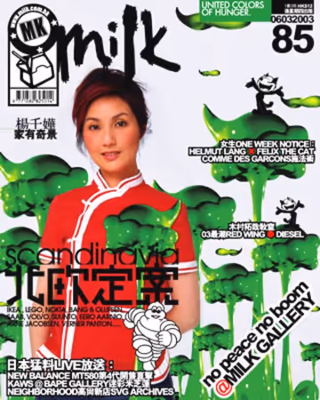 Cover 085